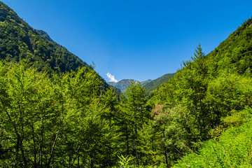 南アルプスの山々