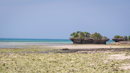tropical beach and sea