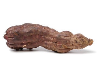 The Chinese medicine Polygonum multiflorum on white background