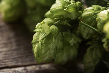 close up view of green hop on wooden surface