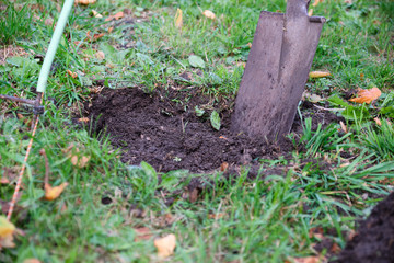 Close-up shovel digs hole in meadow