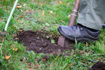 Close-up shovel digs hole in meadow