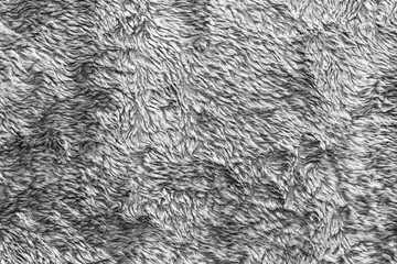 White natural wool texture background. seamless grey sheep fur. soft plush