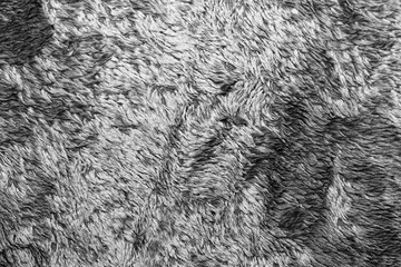 White natural wool texture background. seamless grey sheep fur. soft plush