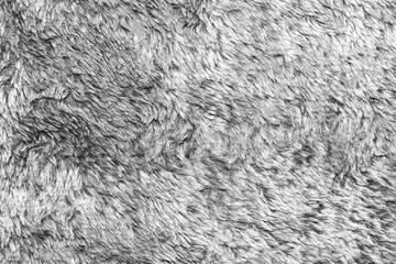 White natural wool texture background. seamless grey sheep fur. soft plush