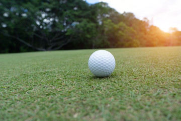 Golf ball on green in beautiful golf course at sunset background.
