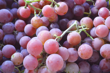 Red wine grapes background