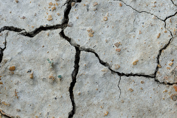 Obraz premium White dried and cracked ground. erosion earth background. cracked dry wall surface. white natural cracked texture