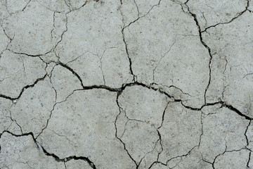 White dried and cracked ground. erosion earth background. cracked dry wall surface. white natural cracked texture
