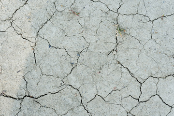 White dried and cracked ground. erosion earth background. cracked dry wall surface. white natural cracked texture
