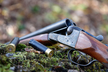 A hunting shotgun and cartridges lie on a tree trunk. Autumn, fallen foliage.