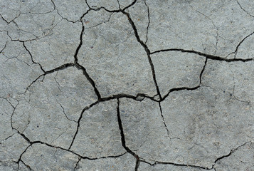 Obraz premium White dried and cracked ground. erosion earth background. cracked dry wall surface. white natural cracked texture