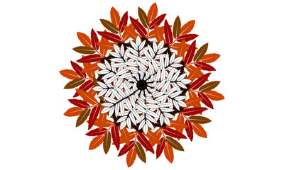 Colour and white autumn leaf mandala