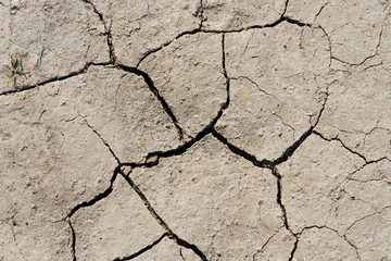 Desert dried and cracked ground. erosion earth background. cracked dry wall surface. white natural cracked texture. desert