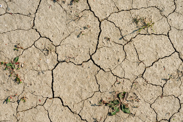 Desert dried and cracked ground. erosion earth background. cracked dry wall surface. white natural cracked texture. desert