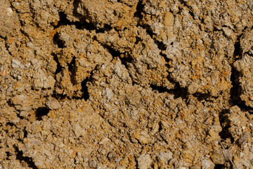 Desert dried and cracked ground. erosion earth background. cracked dry wall surface. white natural cracked texture. desert