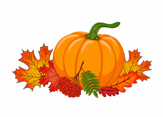 Hand drawn cartoon illustration with autumn botanical composition. Orange pumpkin, leaves and rowanberry isolated on white background. Can be used for Thanksgiving day.