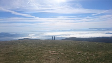 Gorbea