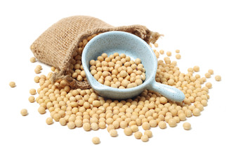 gold soybean isolated on white background