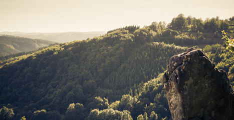 View from the rock on the forest in mountains
