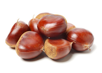 Sweet chestnut on white background
