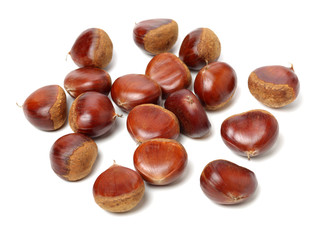 Sweet chestnut on white background