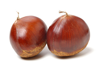 Sweet chestnut on white background