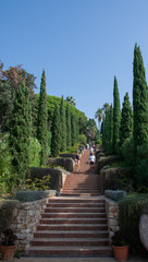 Fototapeta na wymiar steile Treppen in einem schönen Garten