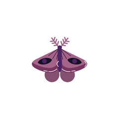 moth insect animal icon