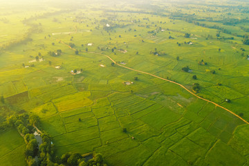 Beautiful aerial top view in Green Rice Field In Northern Of Thailand