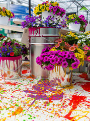power of colors