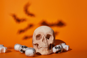 skulls with bats shadow on orange background, Halloween decoration