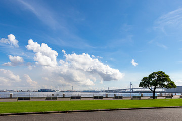 Fototapeta na wymiar 横浜山下公園の青空と海