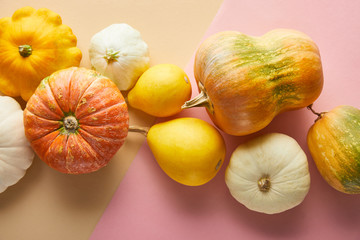 top view of ripe whole colorful pumpkins on pink and beige background