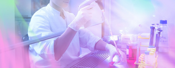 Female scientist works in cell culture hood with animal cultured cells, neon toned panoramic...