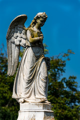 statue of an angel in cemetery