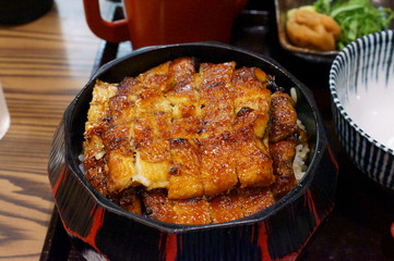 Japanese Nagoya specialty food eel dishes