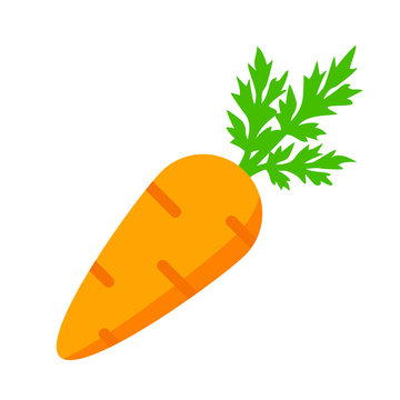 Fresh tasty carrot icon