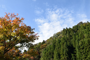 Fototapeta na wymiar Ushibuchi Koen Park. Natural park in Miyagi Prefecture Japan.