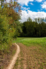 beautiful woodland in autumn time in Germany