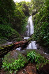 Waterfall in deep forest
