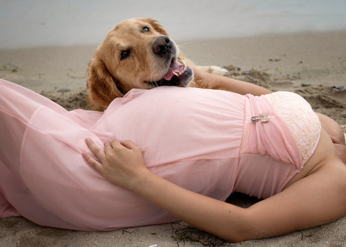 Pregnant woman lying with a dog. A pregnant woman with a dog in the beach . Woman lies with the dog in the beach in the summer.