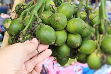 Betel palm with nature at street food