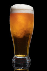 Glass of beer isolated on black background.