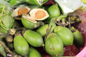 Betel palm with nature at street food