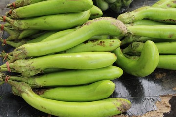 Fresh eggplant green organic at street food