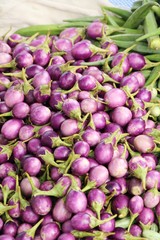 Fresh eggplant purple organic at street food