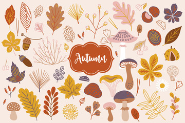 Set of vector autumn elements - acorn, daisy, branch, berry, flower