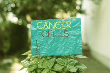 Conceptual hand writing showing Cancer Cells. Concept meaning forming solid tumors or flooding the blood with abnormal cells Plain paper attached to stick and placed in the grassy land