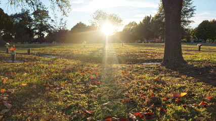 Fall Cemetery sun